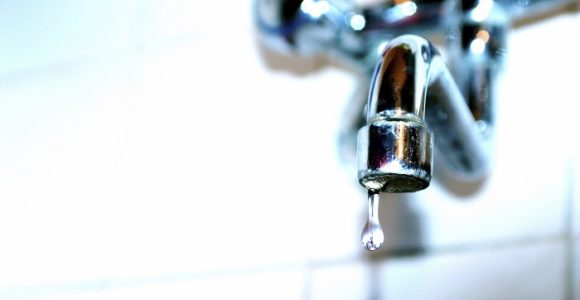 The Link Between Your Plumbing Leak and an Increase in Pests The Link Between Your Plumbing Leak and an Increase in Pests