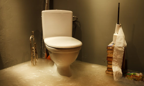 DIY Clogged Toilets: 3 Things to Try Out Before Calling the Experts DIY Clogged Toilets: 3 Things to Try Out Before Calling the Experts