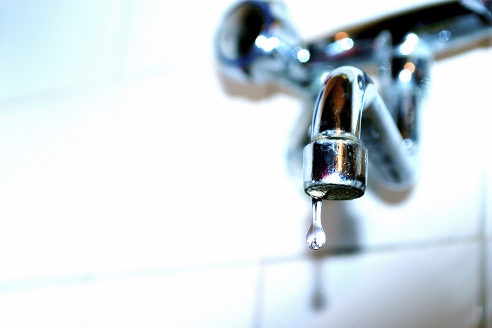 The Link Between Your Plumbing Leak and an Increase in Pests