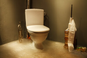 clogged toilets