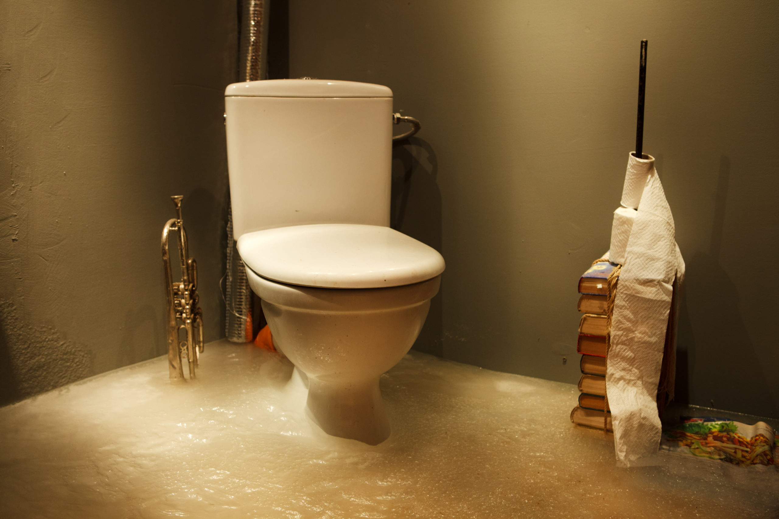 DIY Clogged Toilets: 3 Things to Try Out Before Calling the Experts