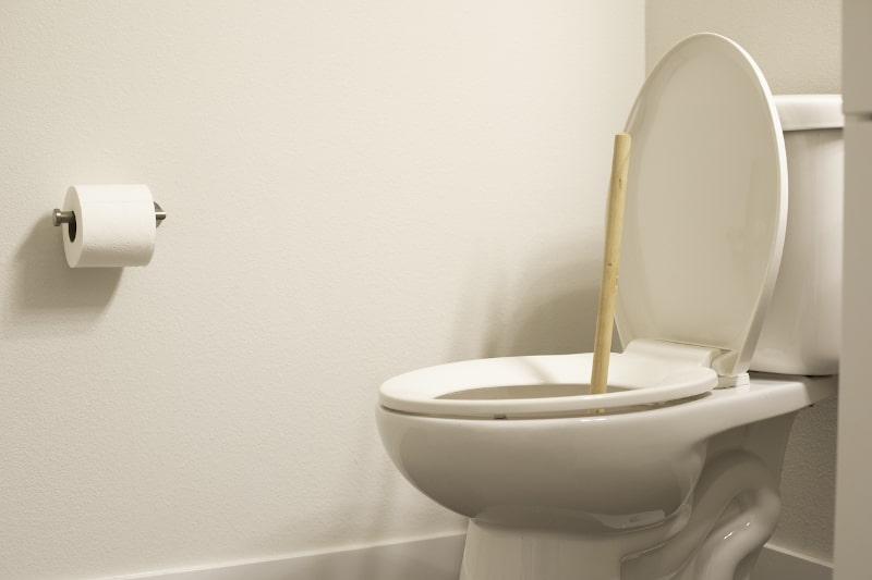 4 Reasons Your Toilet Isn’t Flushing