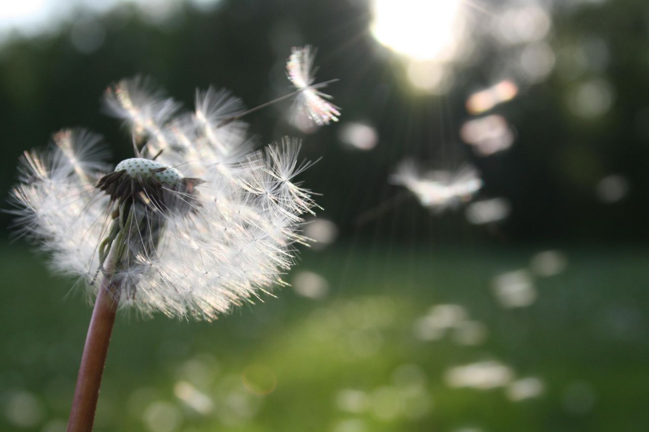 4 Ways to Improve Your Indoor Air Quality This Spring