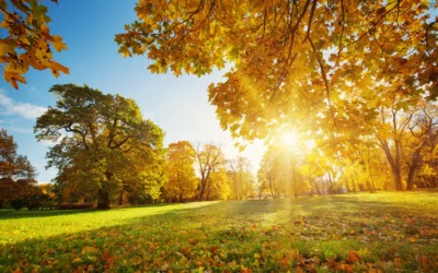 Why Early Fall Is the Perfect Time to Schedule a Heater Tune-Up in San Marcos, TX