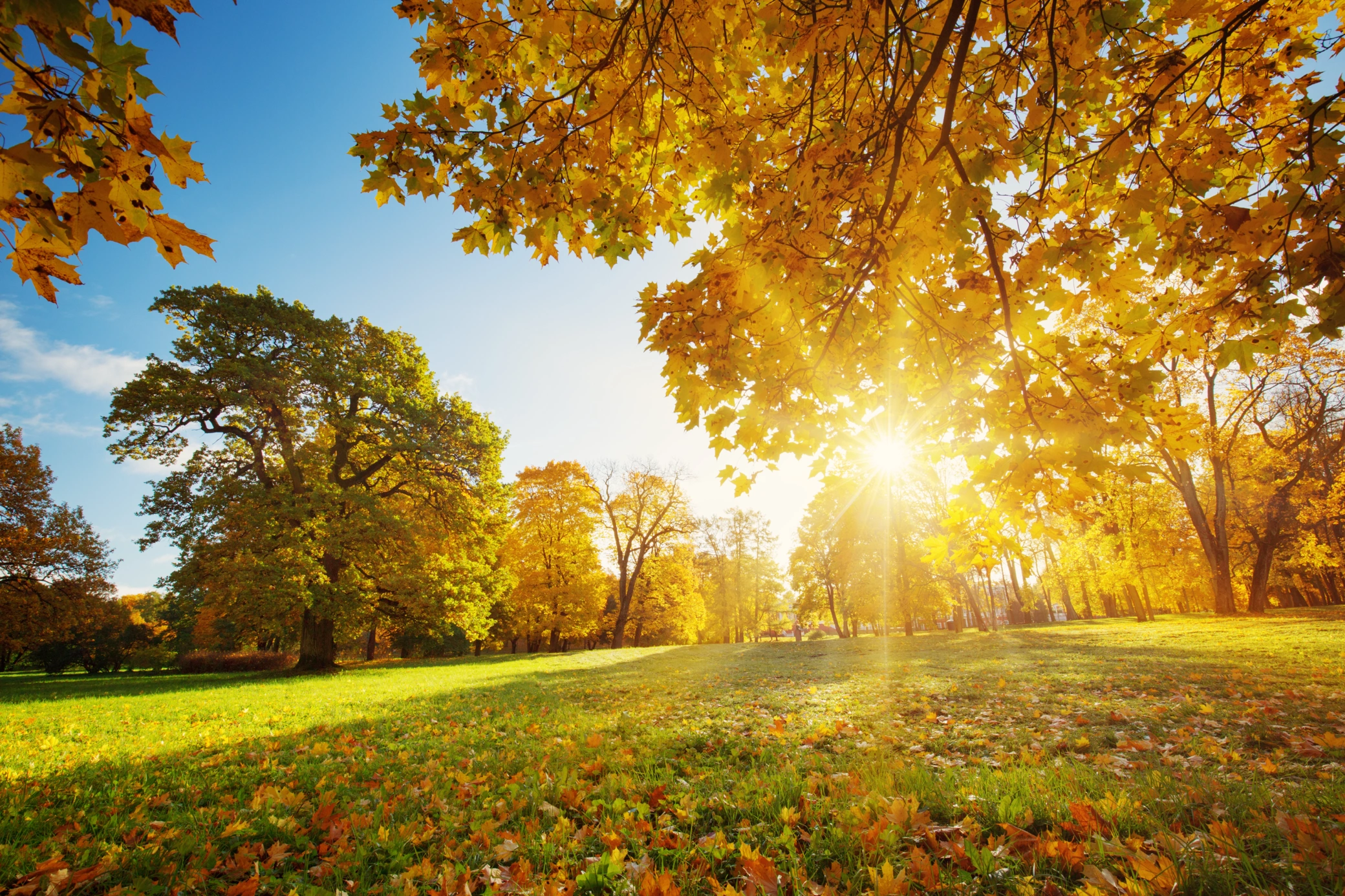 Why Early Fall Is the Perfect Time to Schedule a Heater Tune-Up in San Marcos, TX