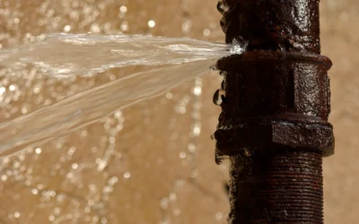 3 Signs You Have a Hidden Plumbing Leak