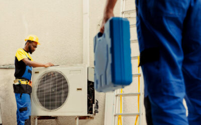 Texas Emergency Decision Tree: HVAC and Plumbing Failure Steps