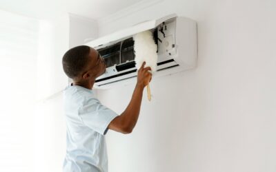 When Dust Mites Signal Bigger HVAC and Plumbing Issues